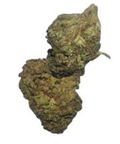 ALIEN LAB DISPOSABLE UK,buy Miracle Alien Cookies strain in the UK, buy Miracle Alien Cookies strain online, buy Miracle Alien Cookies strain online in the uk, Hungry, Miracle Alien Cookies, Miracle Alien Cookies near me, Miracle Alien Cookies review, Miracle Alien Cookies strain, Miracle Alien Cookies strain benefits, Miracle Alien Cookies strain effects, Miracle Alien Cookies strain for sale, Miracle Alien Cookies strain percentageMiracle Alien Cookies stain indica or sativaMiracle Alien Cookies starin info, Miracle Alien Cookies strain THC level, Miracle Alien Cookies strain typeMiracle Alien Cookies seed, Miracle Alien Cookies thc cartridge – high life, Pain, where to buy Miracle Alien Cookies,alien lab disposable​, Alien Labs 2g Disposable, alien labs dispo​, alien labs disposable​, alien labs disposable 1 gram​, alien labs disposable 2 gram, alien labs disposable blinking, alien labs disposable charging instructions​, alien labs disposable green, alien labs disposable how to use, alien labs disposable not charging, alien labs disposable not hitting​, alien labs disposable not working​, alien labs disposable packaging, alien labs disposable pen​, alien labs disposable price, alien labs disposable real vs fake​, alien labs disposable review​, alien labs disposable vape, alien labs live resin disposable​, how to charge alien labs disposable, how to open alien labs disposable, how to unclog alien labs disposable, how to use alien labs disposable, alien lab jar, alien labs 3.5 jars, Alien labs jars, alien labs jars reviews, alien labs restash jar,alien og hash, alien og hash how to use, alien og hash near me, alien og hash online, alien og hash price, alien og hash review, alien og hash uk, buy alien og hash,moon rocks, moon rocks weed, moon rocks weeds, moon rocks drug, moon rocks strain, what are moon rocks, weed moon rocks, green joy moon rocks, purple moon rocks bud, cannabis moon rocks, moon rocks thc, what are moon rocks weed, cbd moon rocks, how to make moon rocks, green joy mor t27 moon rocks, moon rocks cannabis, moon rocks bud, moon rocks amsterdam, moon rocks weed strain, moon rocks for sale